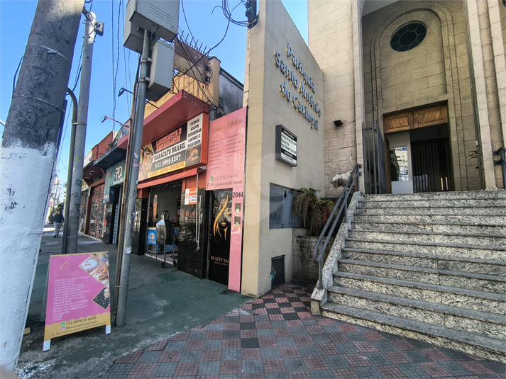 Foto REO1112866