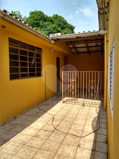 Foto REO1112867