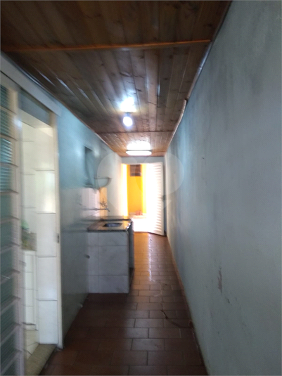 Foto REO1112867
