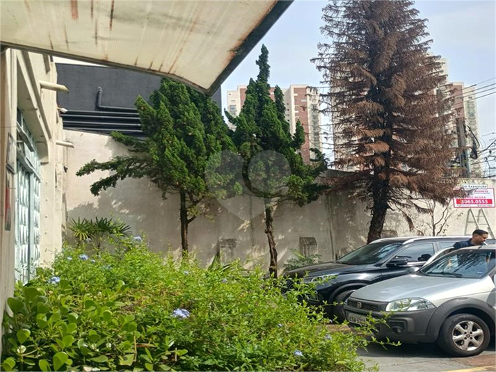Foto REO1112874