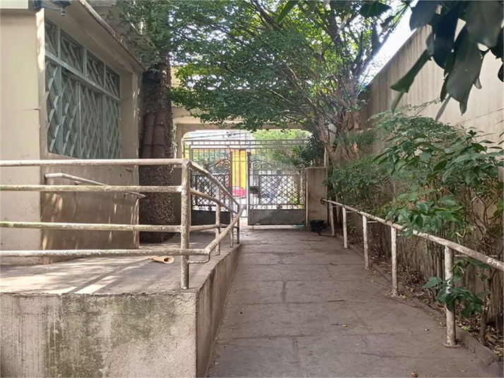 Foto REO1112874