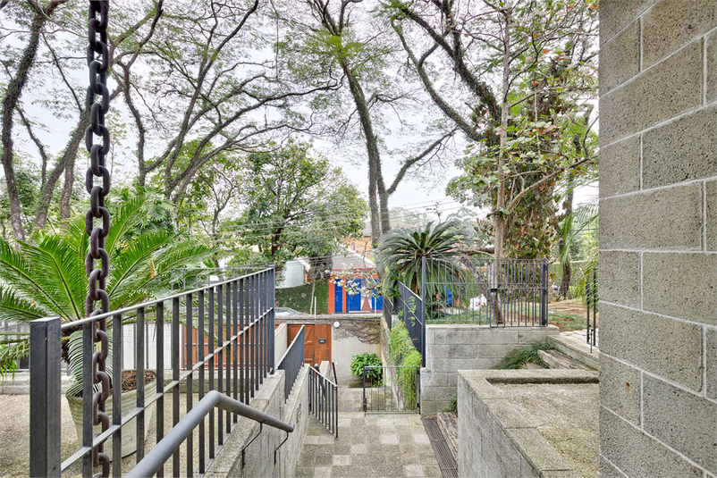 Foto REO1112879
