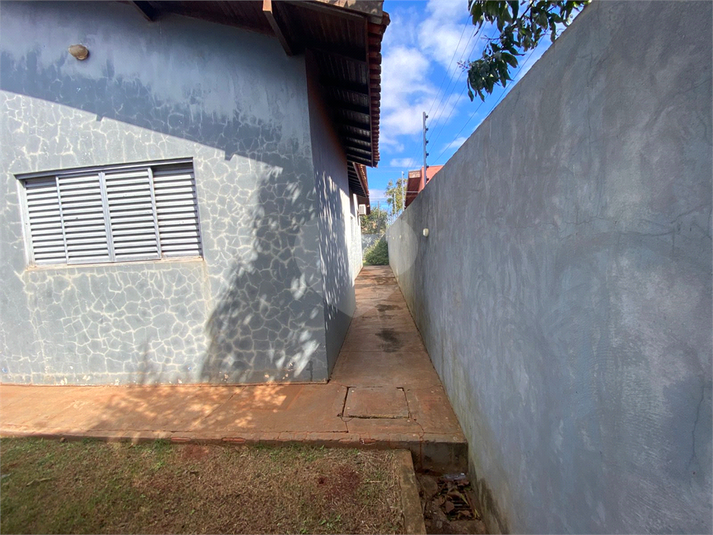 Foto REO1112883