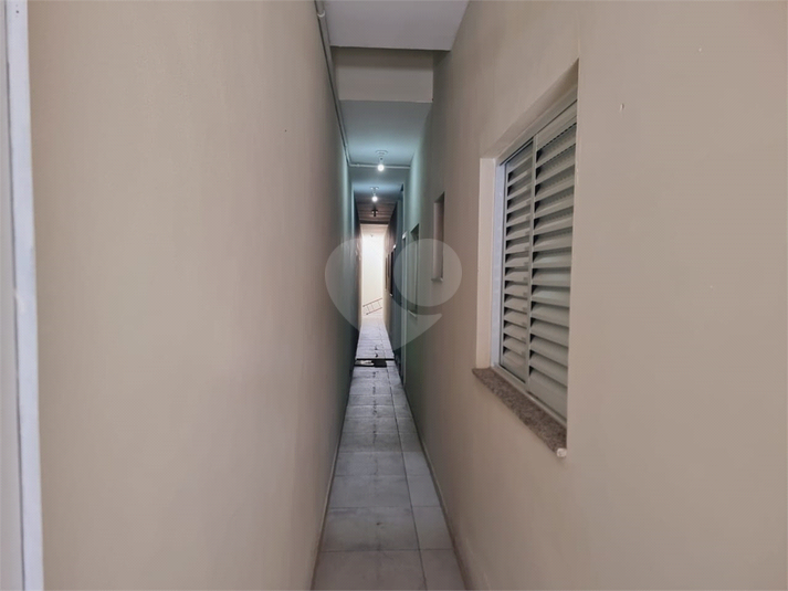 Foto REO1112889
