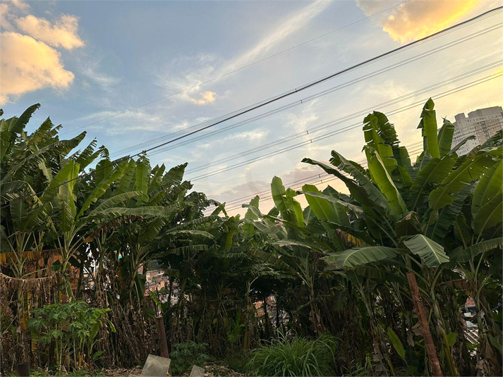 Foto REO1112893