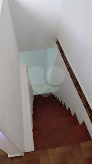 Foto REO1112935
