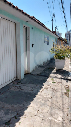 Foto REO1112935