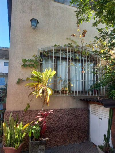 Foto REO1112944