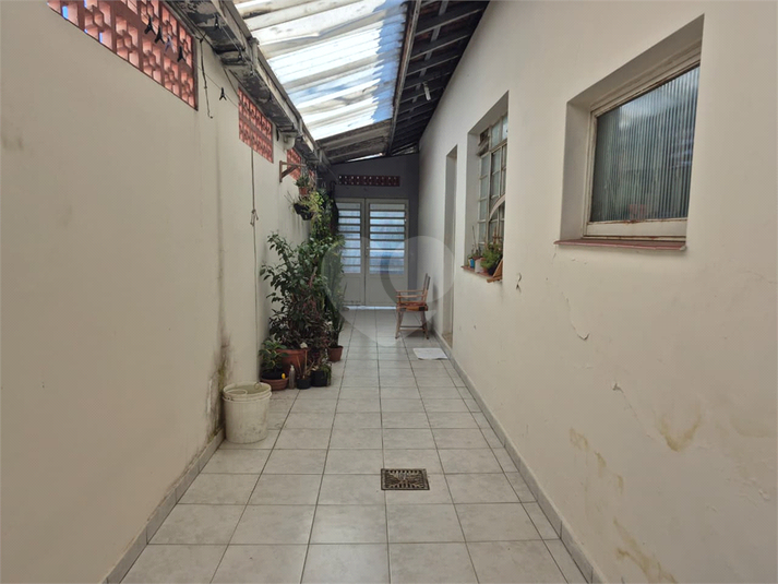 Foto REO1112950