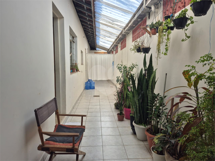 Foto REO1112950