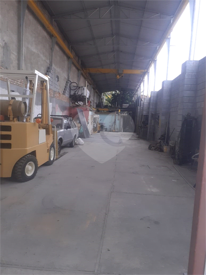 Foto REO1112958