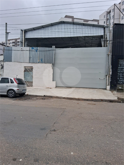 Foto REO1112958