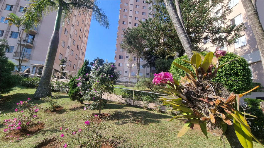 Foto REO1112959