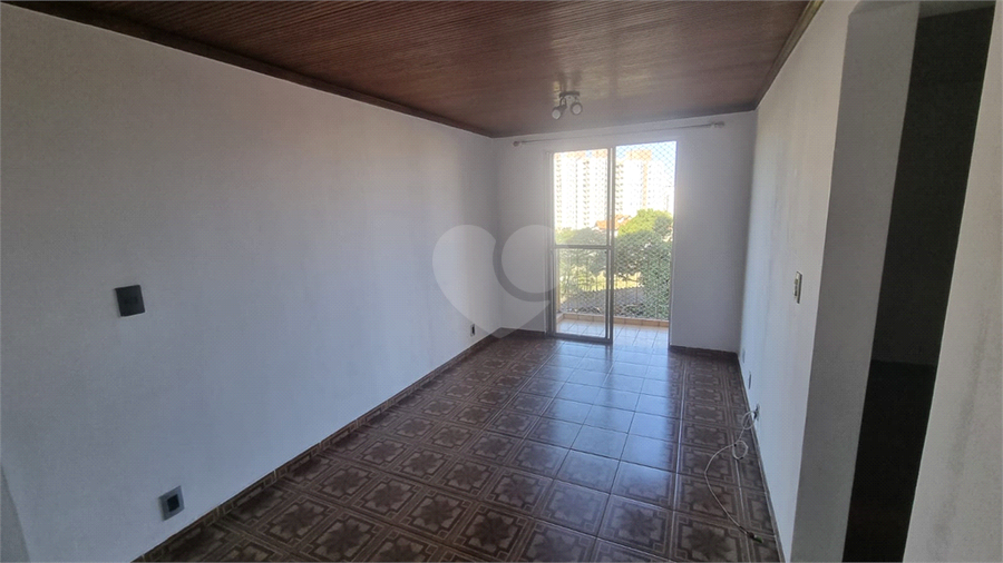 Foto REO1112959