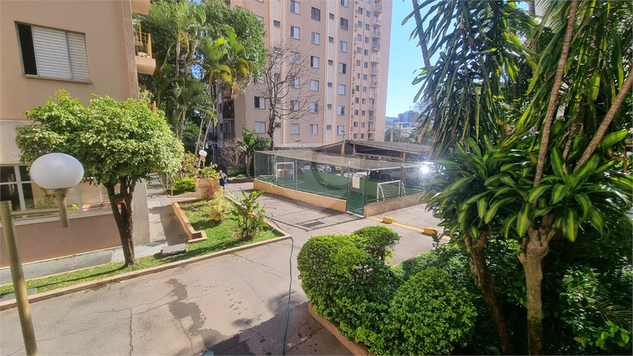 Foto REO1112959