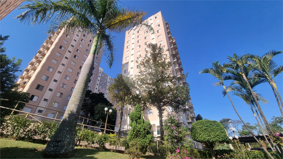 Foto REO1112959