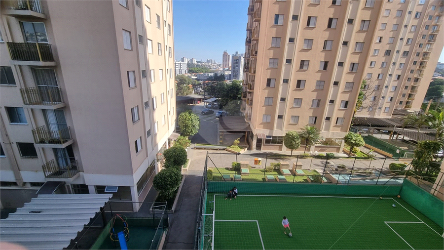 Foto REO1112959