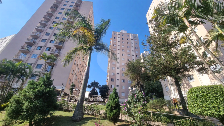 Foto REO1112959