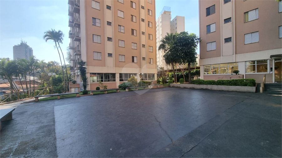 Foto REO1112959