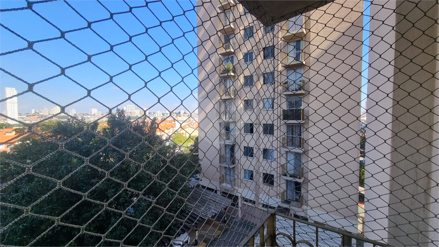 Foto REO1112959