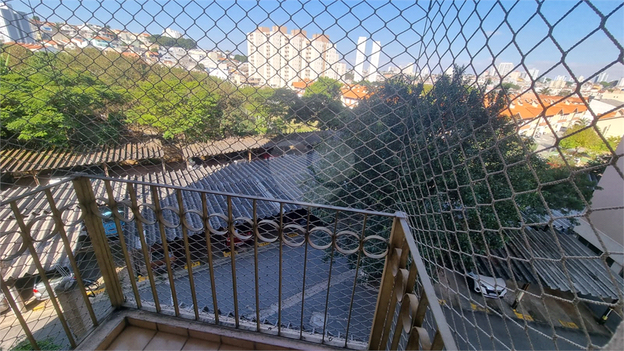 Foto REO1112959
