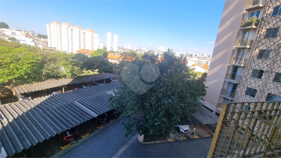 Foto REO1112959