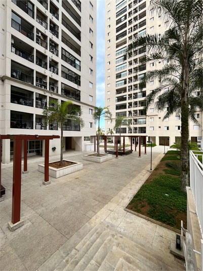 Foto REO1112964