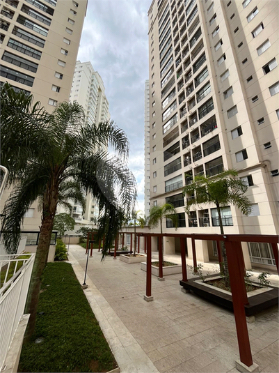 Foto REO1112964