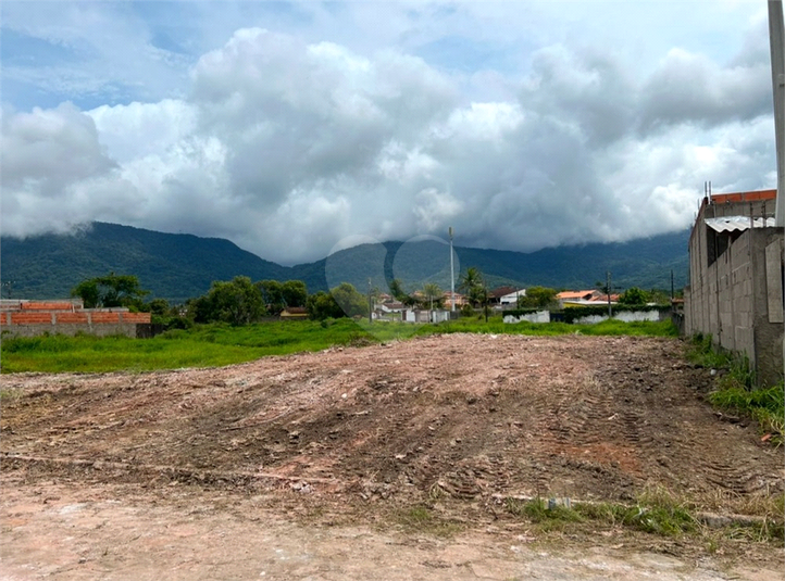 Foto REO1112968