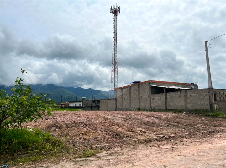 Foto REO1112968