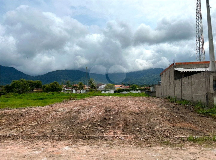Foto REO1112968