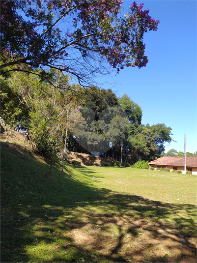 Foto REO1112975
