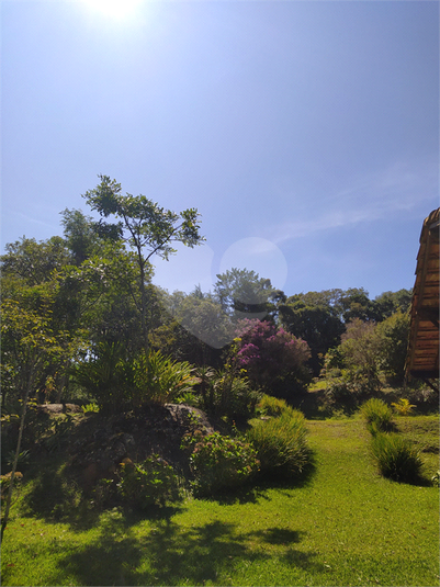 Foto REO1112975