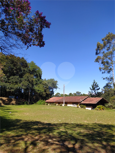 Foto REO1112975