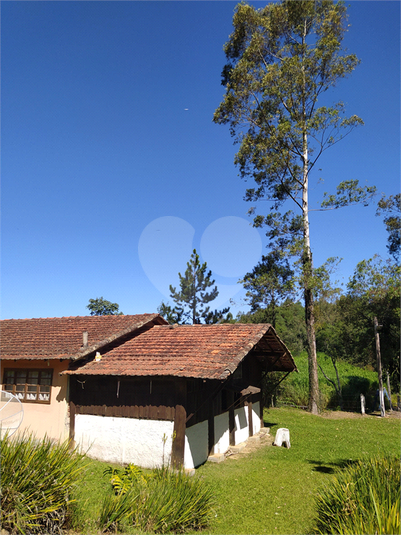 Foto REO1112975