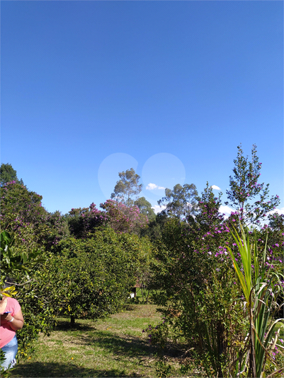 Foto REO1112975