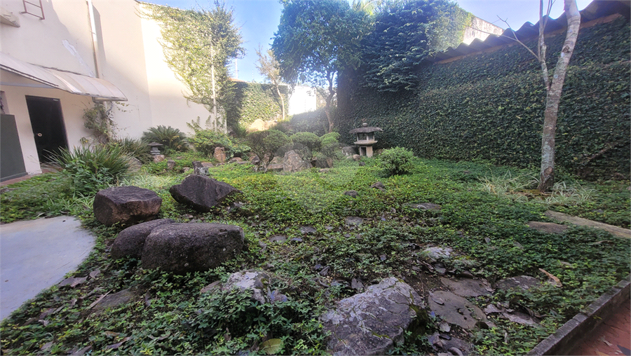 Foto REO1112982
