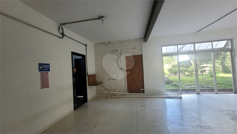 Foto REO1112982