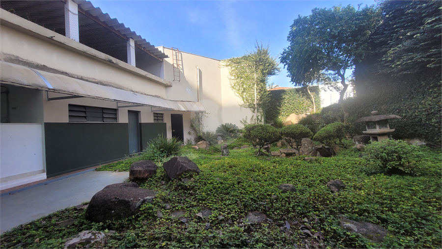 Foto REO1112982
