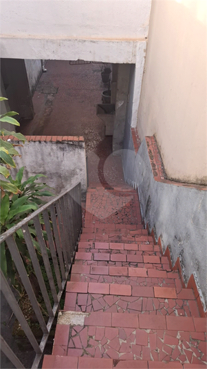 Foto REO1112987