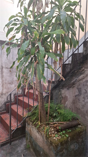 Foto REO1112987