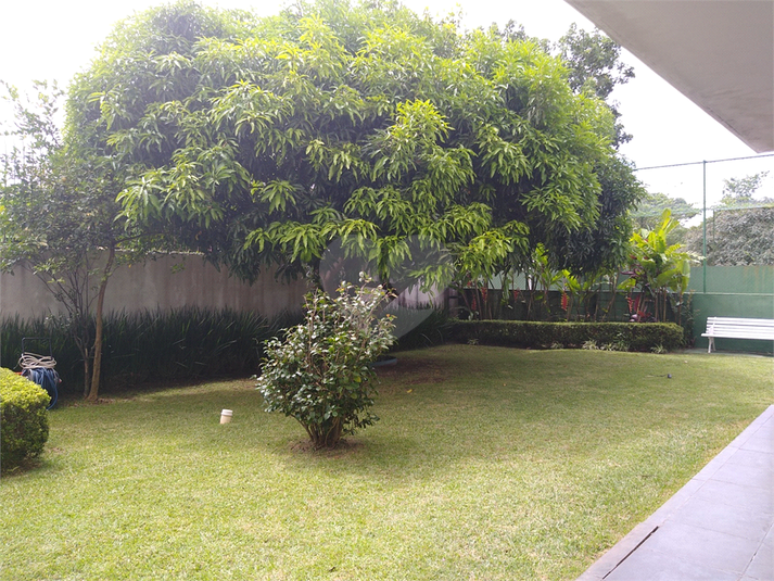 Foto REO1112990