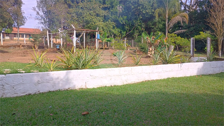 Foto REO1113021