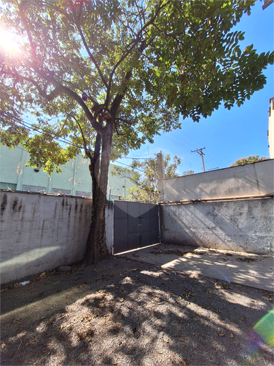 Foto REO1113027