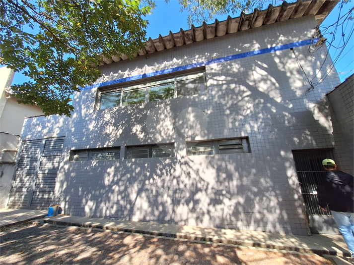 Foto REO1113027