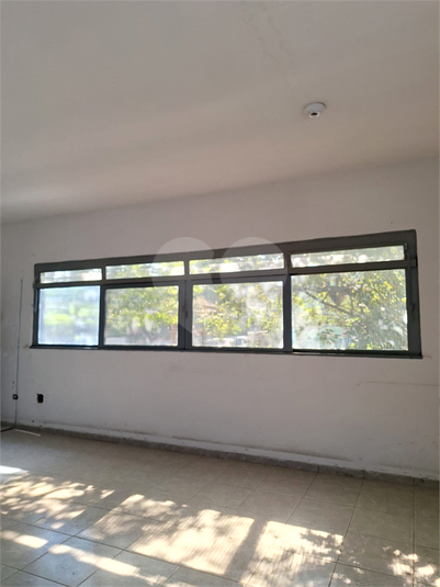 Foto REO1113027