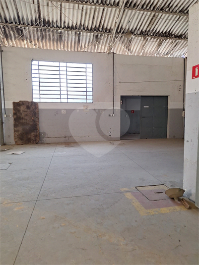 Foto REO1113027