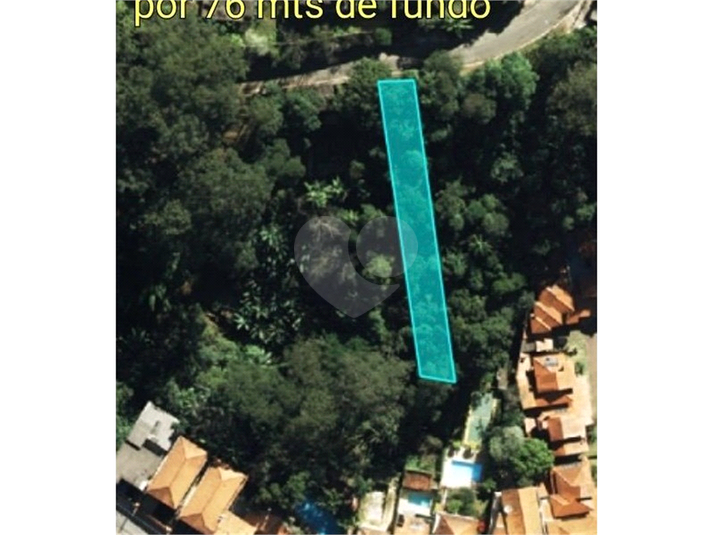 Foto REO1113040