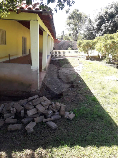 Foto REO1113045