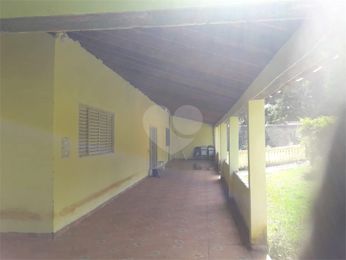 Foto REO1113045